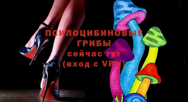 МДПВ Зеленокумск