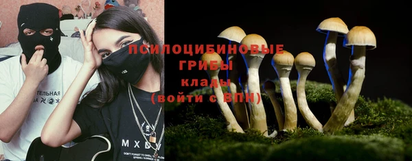 сатива Заволжье