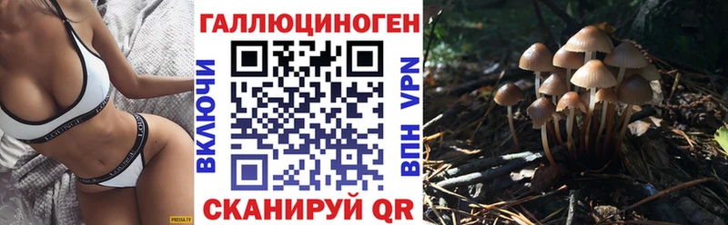 Псилоцибиновые грибы мицелий  Сенгилей 